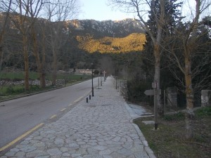DSCN6804