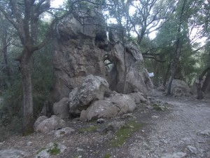 DSCN6806