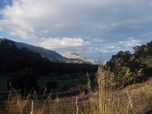DSCN6817
