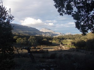 DSCN6818