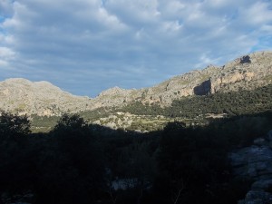 DSCN6821