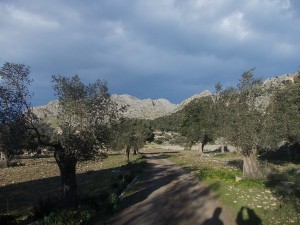 DSCN6826