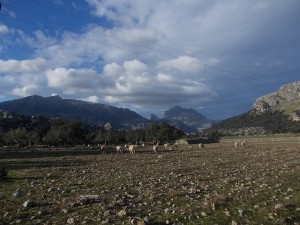 DSCN6829