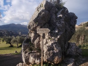 DSCN6832