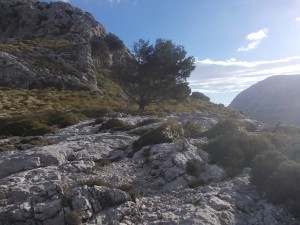DSCN6838