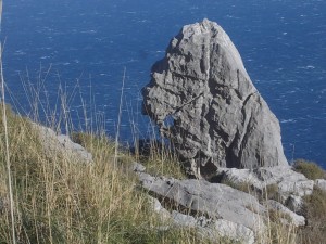 DSCN6845