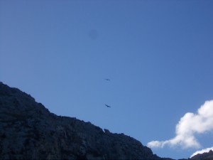 DSCN6861