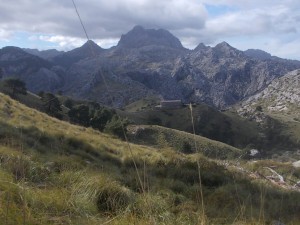 DSCN6871