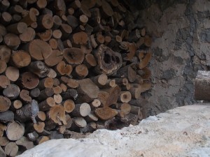 DSCN6888