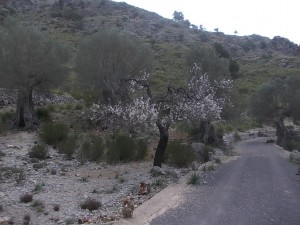 DSCN6895