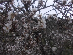DSCN6896