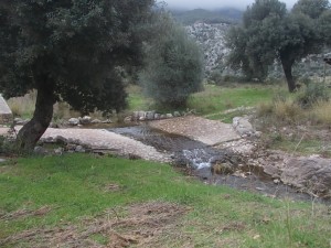 DSCN6910