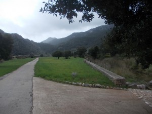 DSCN6911