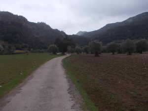 DSCN6913
