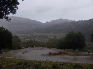 DSCN6914