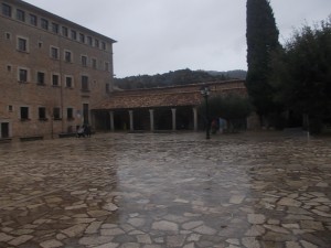 DSCN6917