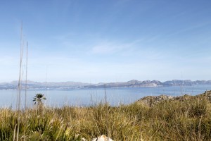 _MG_0576