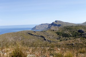 _MG_0582