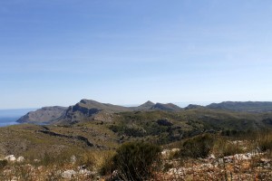 _MG_0584