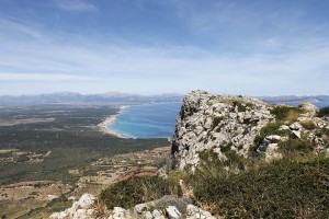_MG_0595