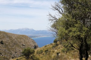 _MG_0603
