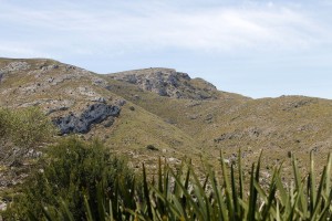 _MG_0604