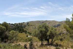 _MG_0605