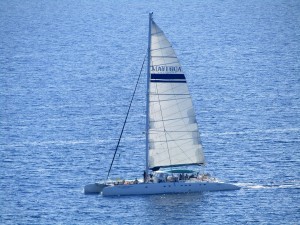 IMG_0462a