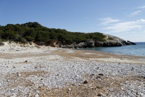 _MG_0624a