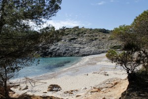 _MG_0626a