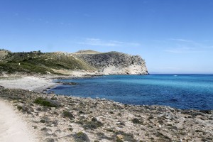 _MG_0651a