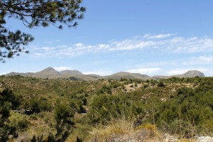 _MG_0679a