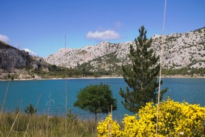_MG_0688a