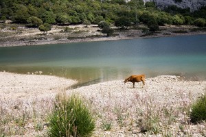 _MG_0695a