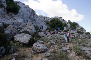 _MG_0715a