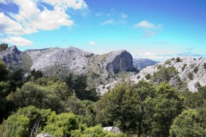 _MG_0716a