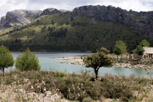_MG_0739a