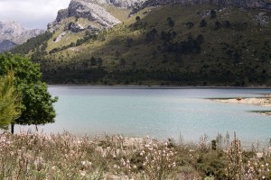 _MG_0740a