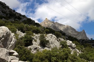 _MG_0743a
