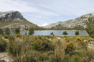 _MG_0767a