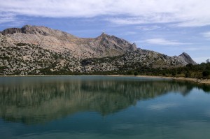_MG_0768a