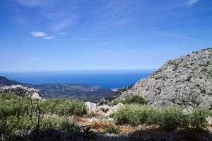 _MG_0775a