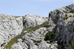 _MG_0778a