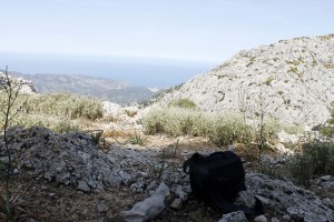 _MG_0779a