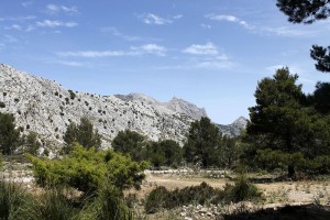 _MG_0787a