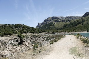 _MG_0806a