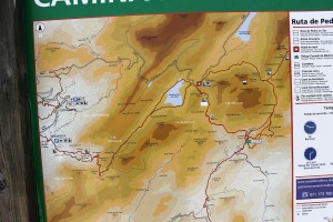 _MG_0814a