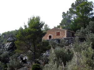DSCN3646