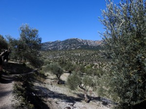 DSCN3679