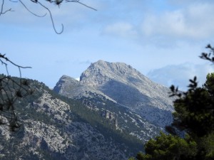 DSCN3688